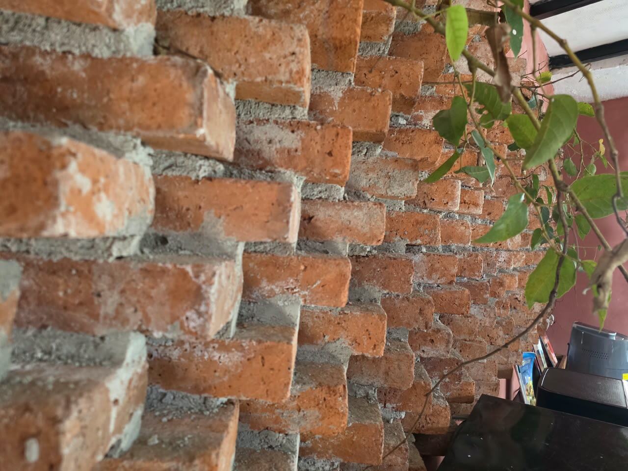 Muro de ladrillo aparente con plantas