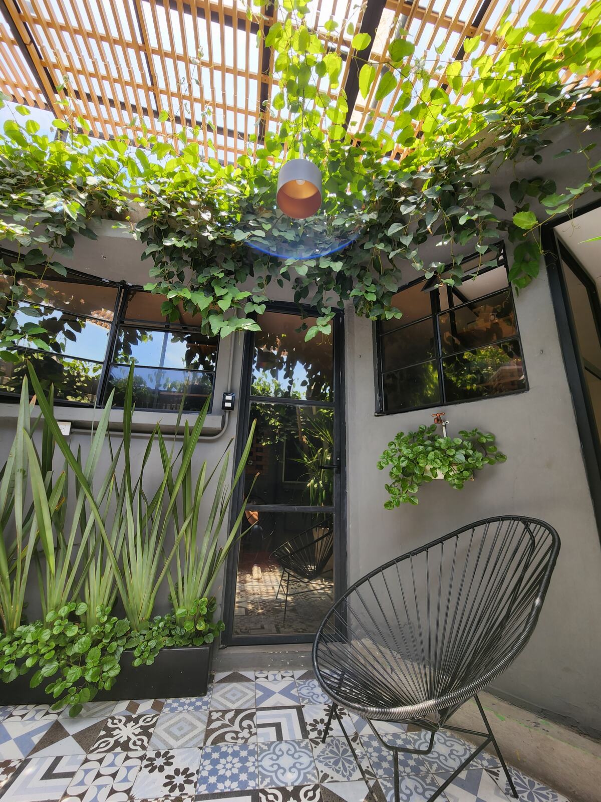 Patio interior con pérgola y plantas